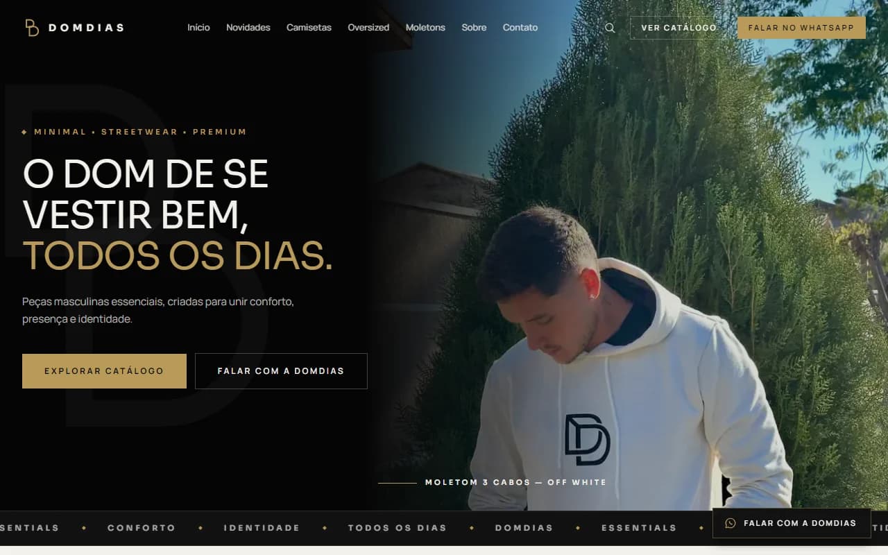 First screen of the DOMDIAS website
