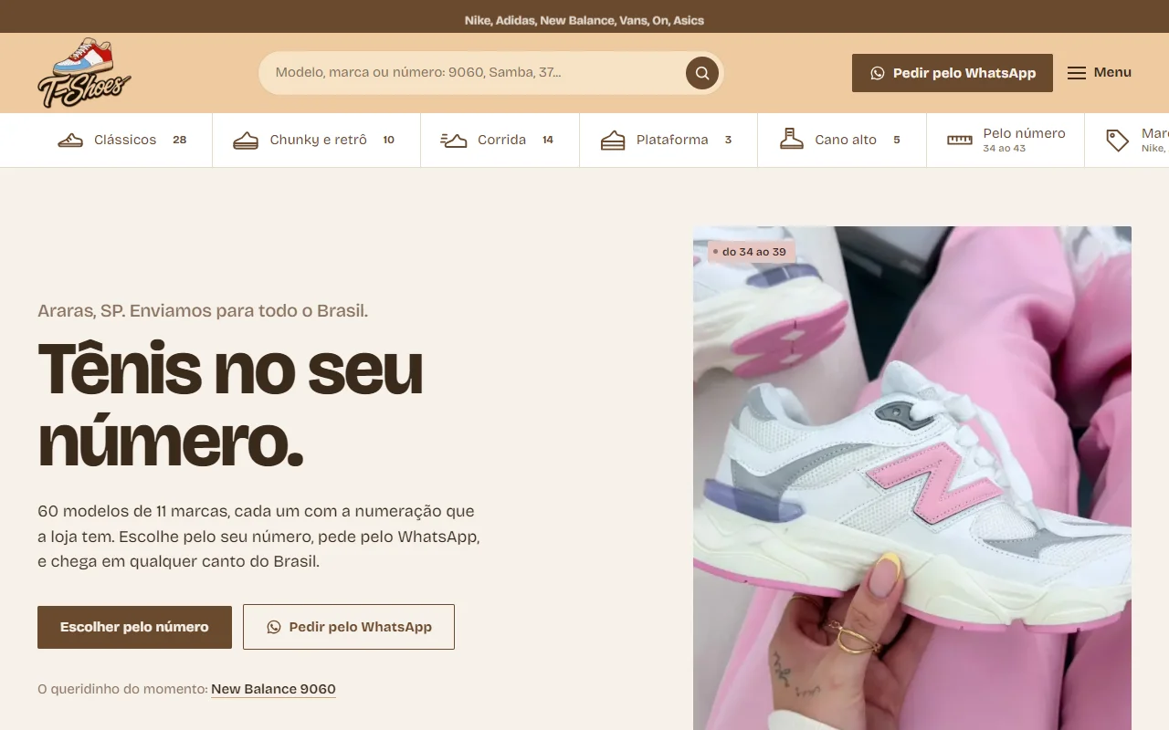 First screen of the T-Shoes website